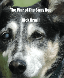 The War of The Stray Dog