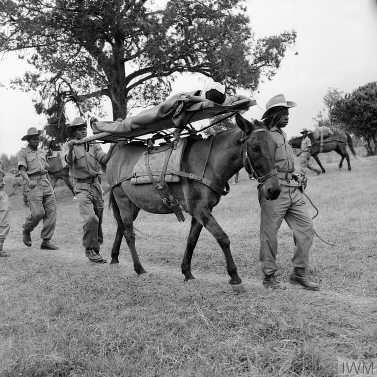 BRITISH ARMY OPERATIONS AGAINST THE MAU MAU IN KENYA 1952 - 1956 (MAU 326) Evacuation of injured soldiers on horseback by members of the King's African Rifles. Copyright: © IWM. Original Source: http://www.iwm.org.uk/collections/item/object/205191302