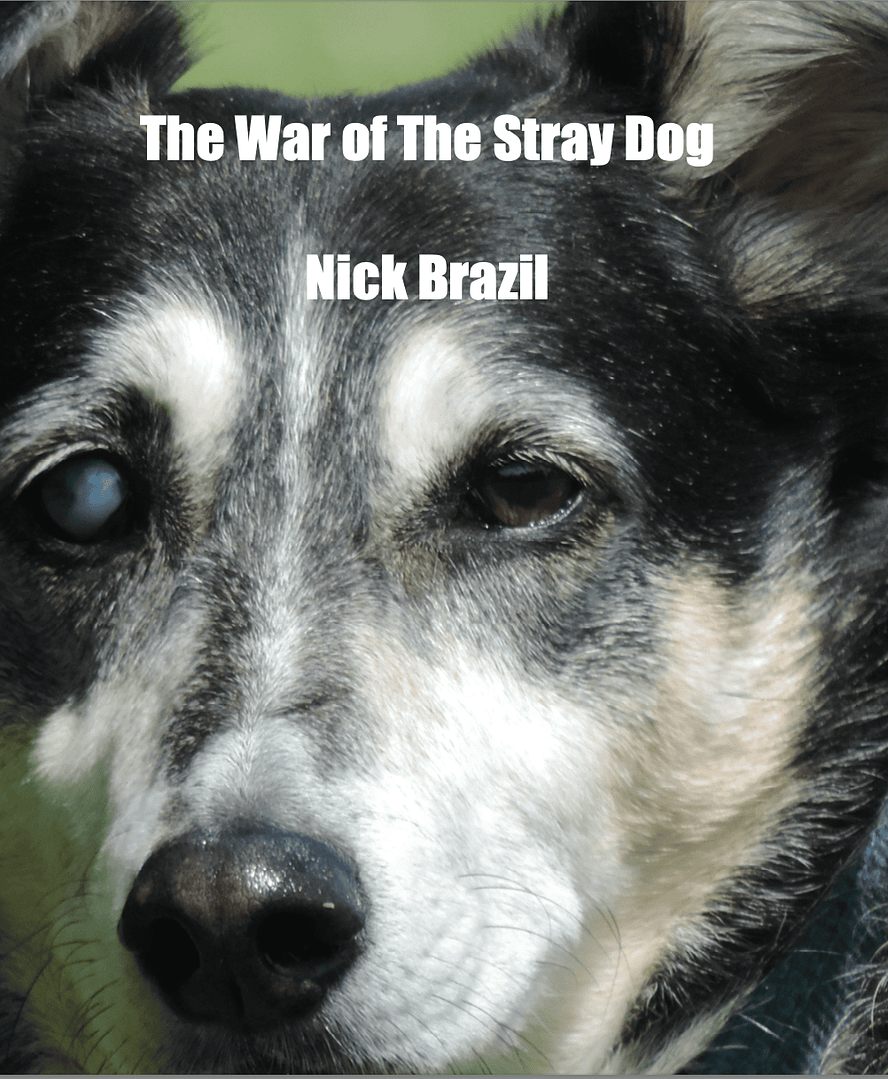 New Book: The War of The Stray Dog
